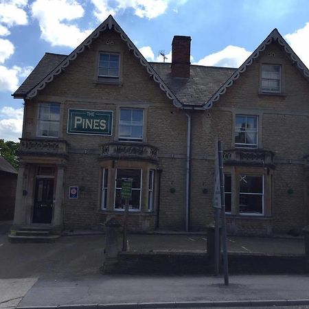 The Pines Guest Accommodation Chippenham  Esterno foto